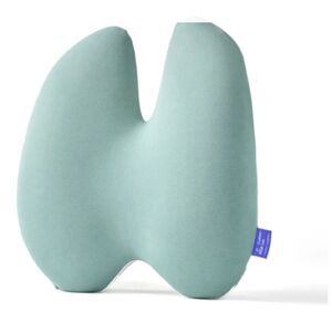 Cushion Lab Back Relief Lumbar Pillow, Light Green, NWOT Display pillow